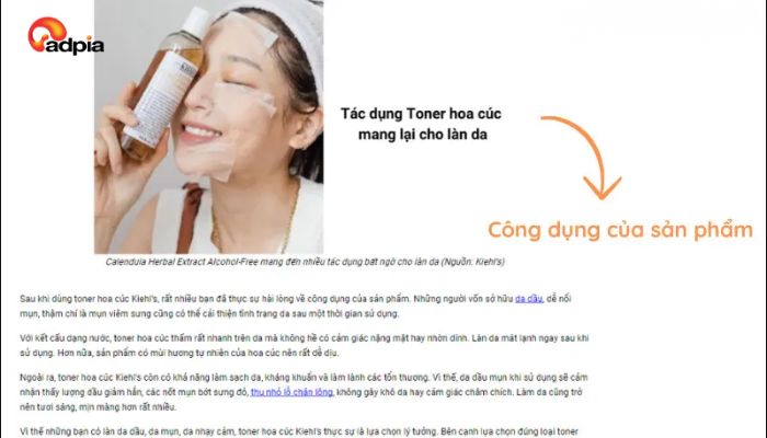 B&agrave;i viết review